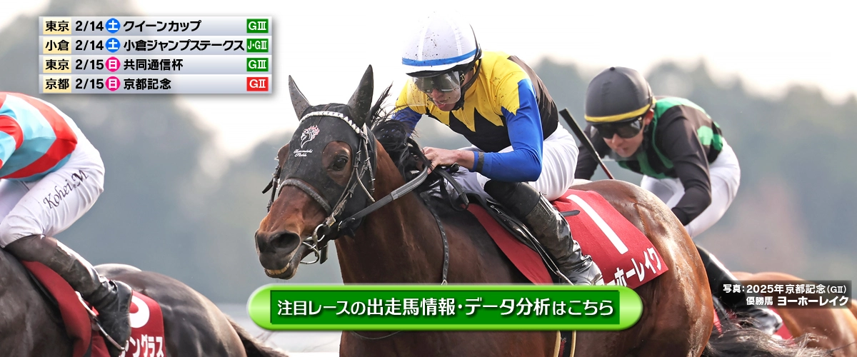 fanba スライダー 1